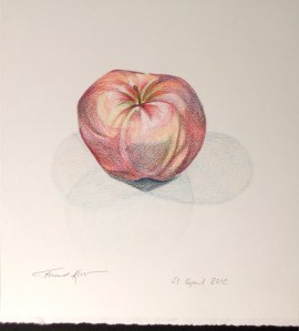 Apple Drawing 2010
