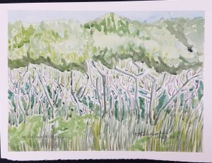 "In the Trees @ Wadewitz", Frank Korb, Watercolor on Paper, July 3, 2017.